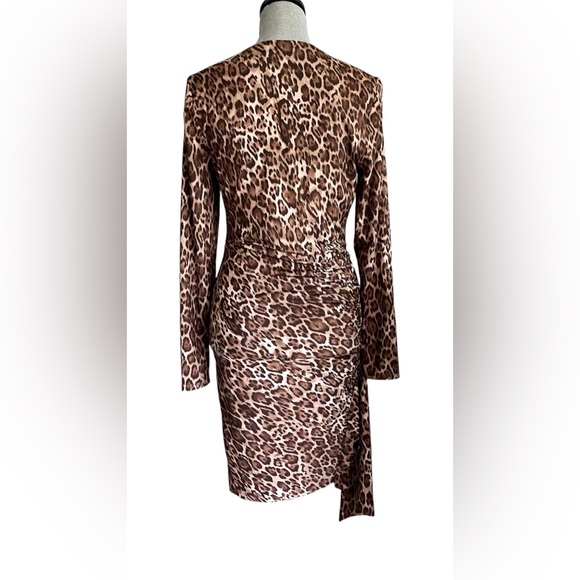 🔥WAYF Leopard woman’s Dress-Small-long sleeves Stretch With Ruched Waist NWOT - Picture 3 of 9